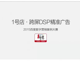 优胜奖-1号店百度DSP营销投放方案